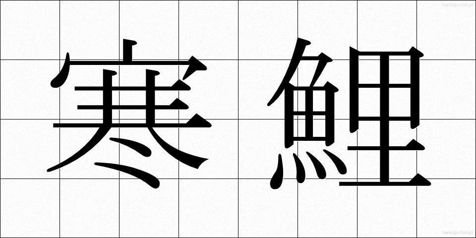 寒鯉 (かんごい)