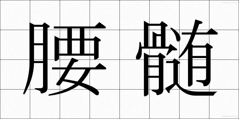 腰髄 (ようずい)