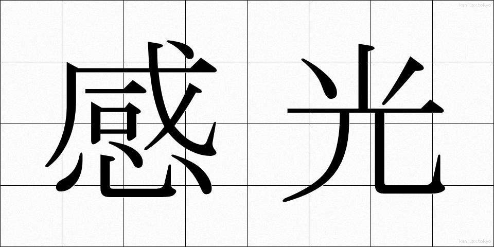 感光 (かんこう)