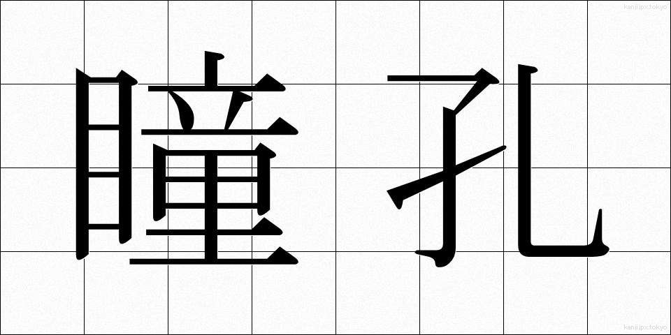 瞳孔 (どうこう)