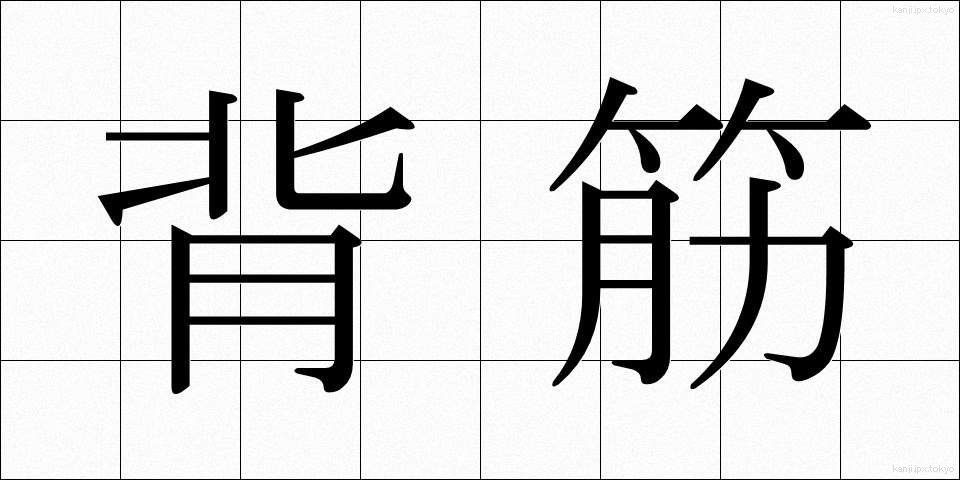 背筋 (せすじ)