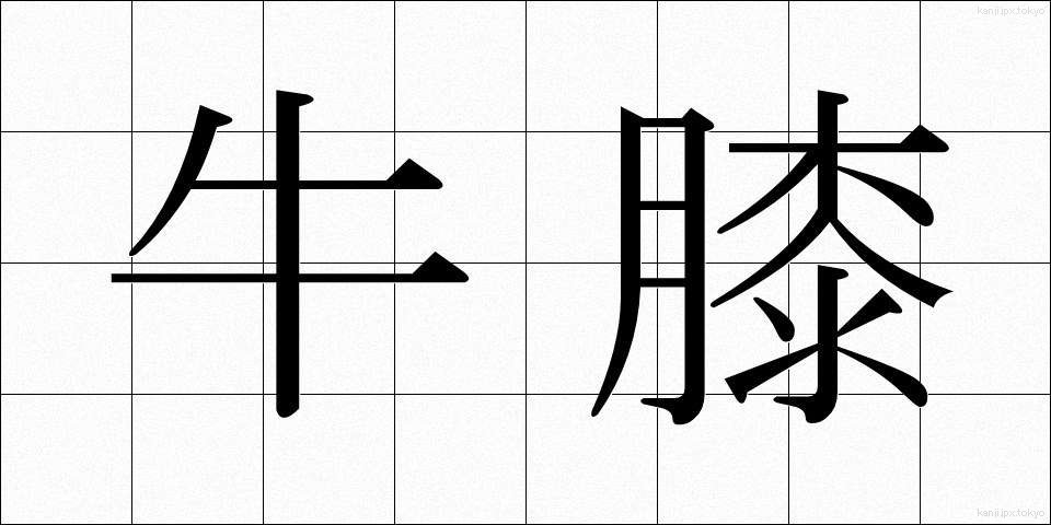 牛膝 (ごしつ)