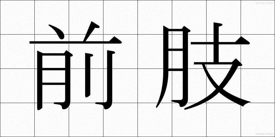 前肢 (ぜんし)