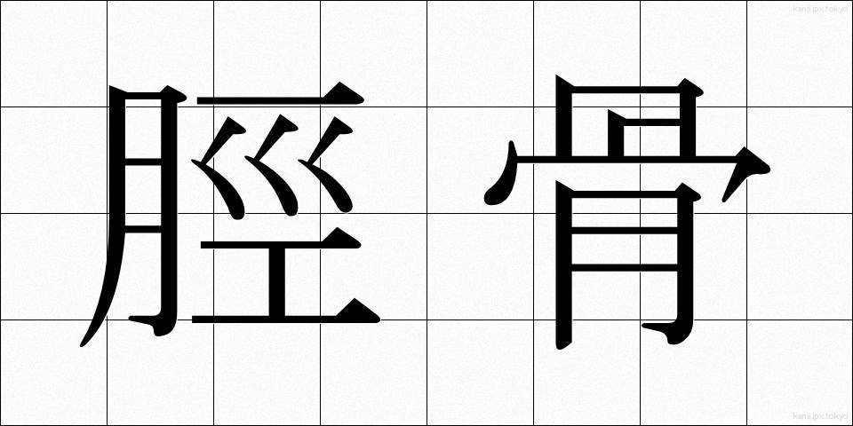 脛骨 (けいこつ)