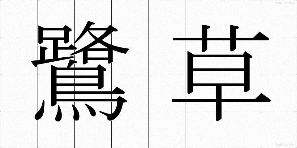 鷺草 (さぎそう)