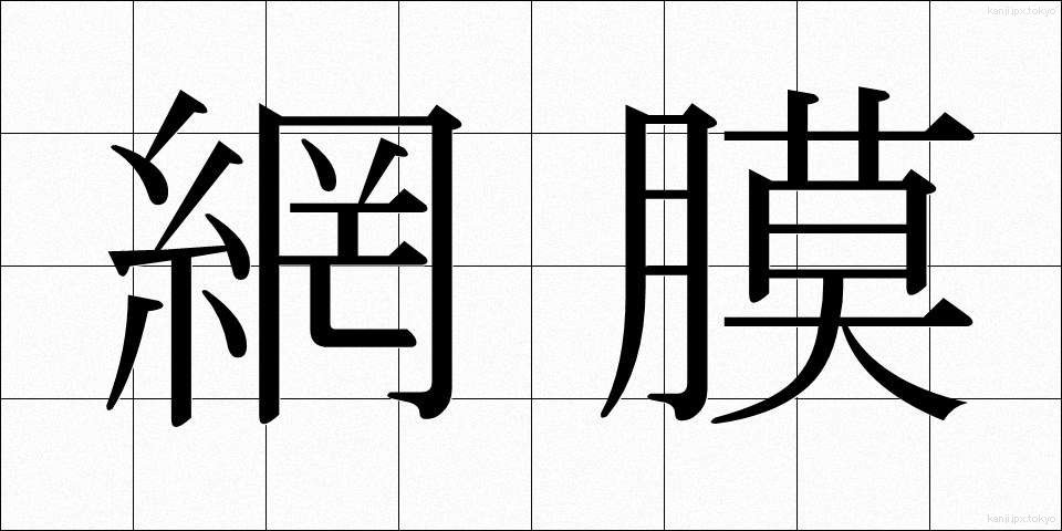 網膜 (もうまく)