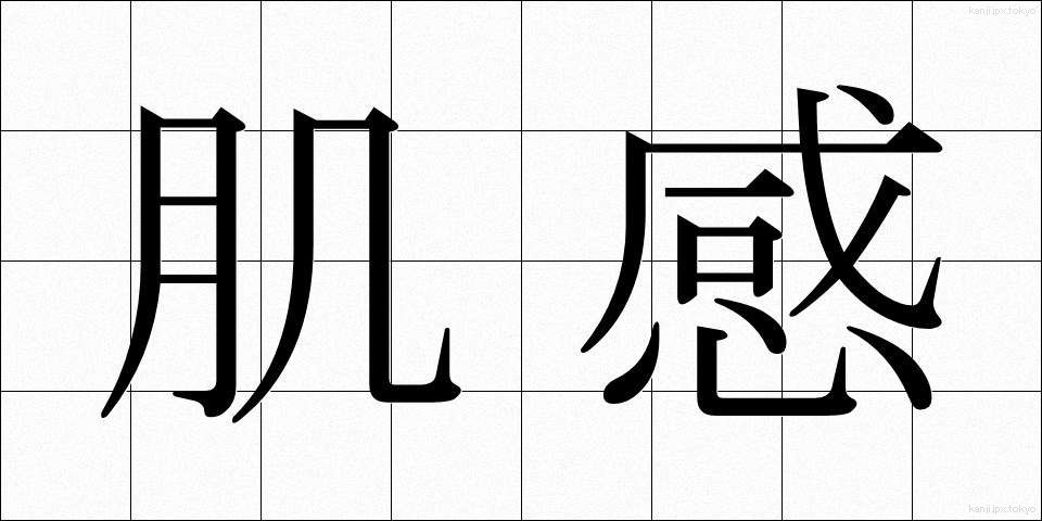 肌感 (はだかん)