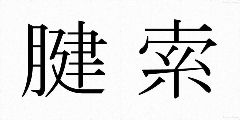 腱索 (けんさく)