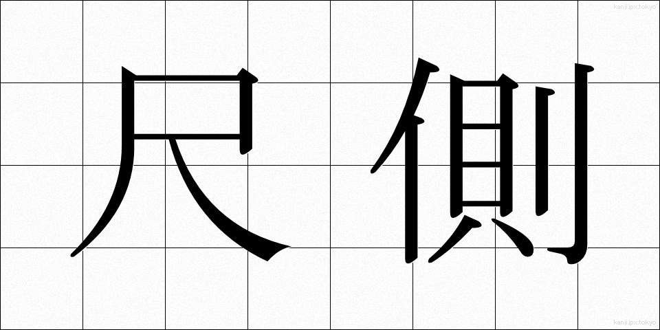 尺側 (しゃくそく)