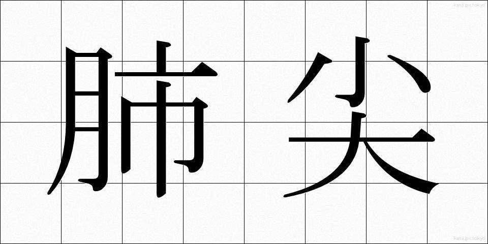 肺尖 (はいせん)