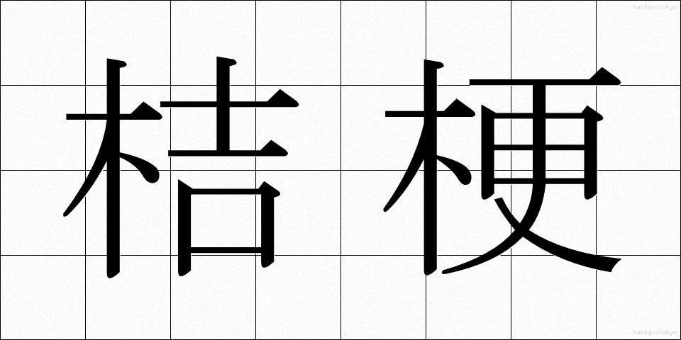 桔梗 (ききょう)