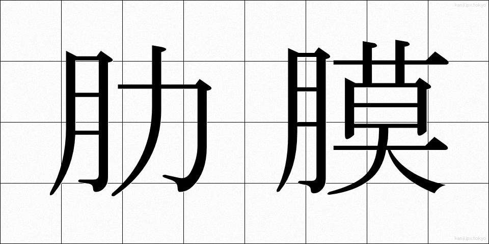肋膜 (ろくまく)