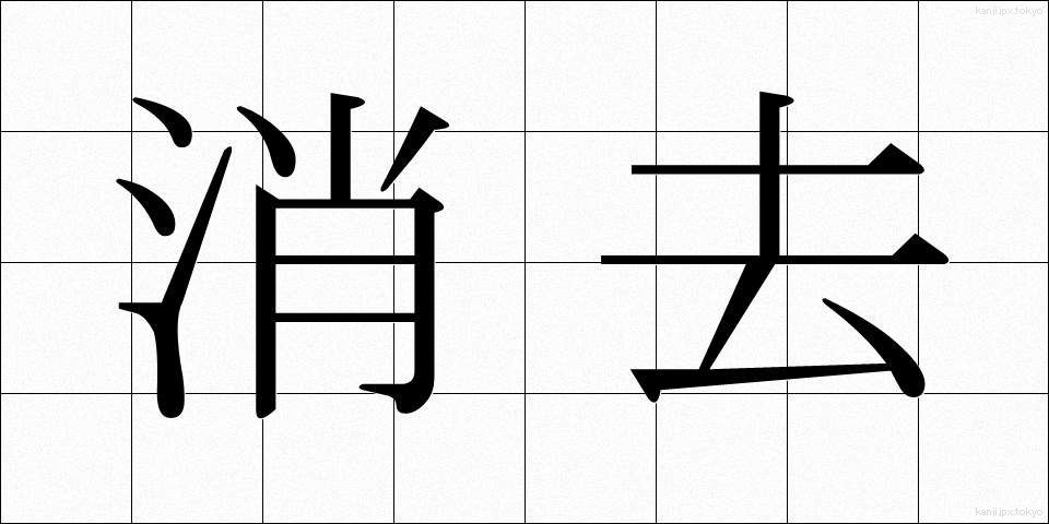 消去 (しょうきょ)