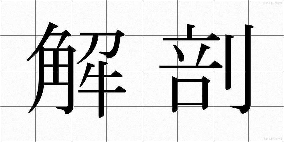 解剖 (かいぼう)