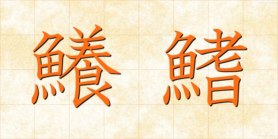 鱶鰭 (ふかひれ)