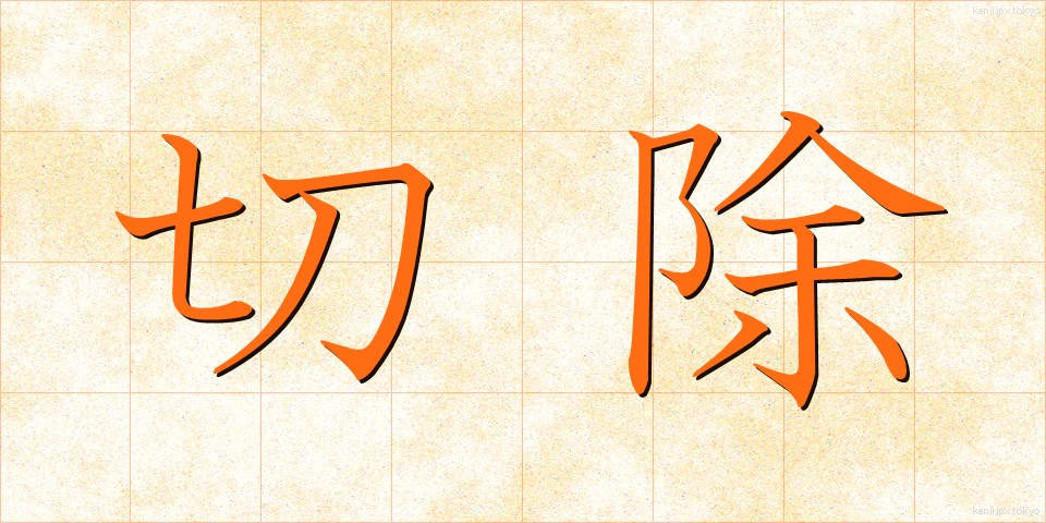 切除 (せつじょ)