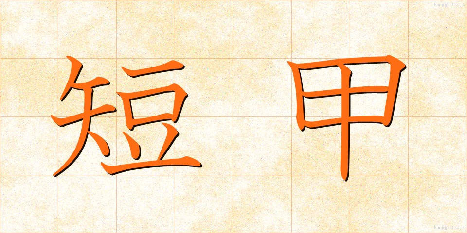 短甲 (たんこう)