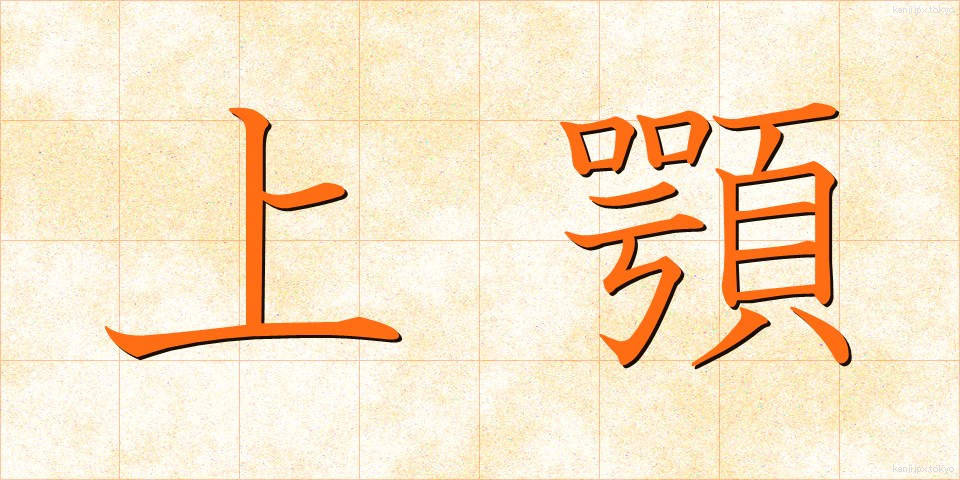 上顎 (じょうがく)