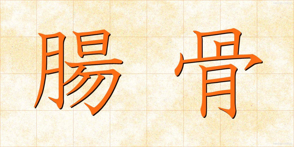 腸骨 (ちょうこつ)
