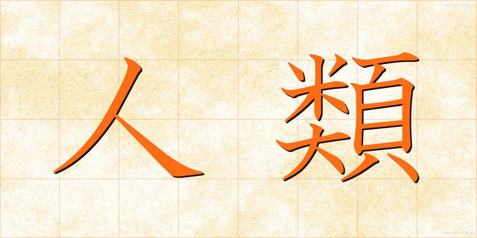 人類 (じんるい)