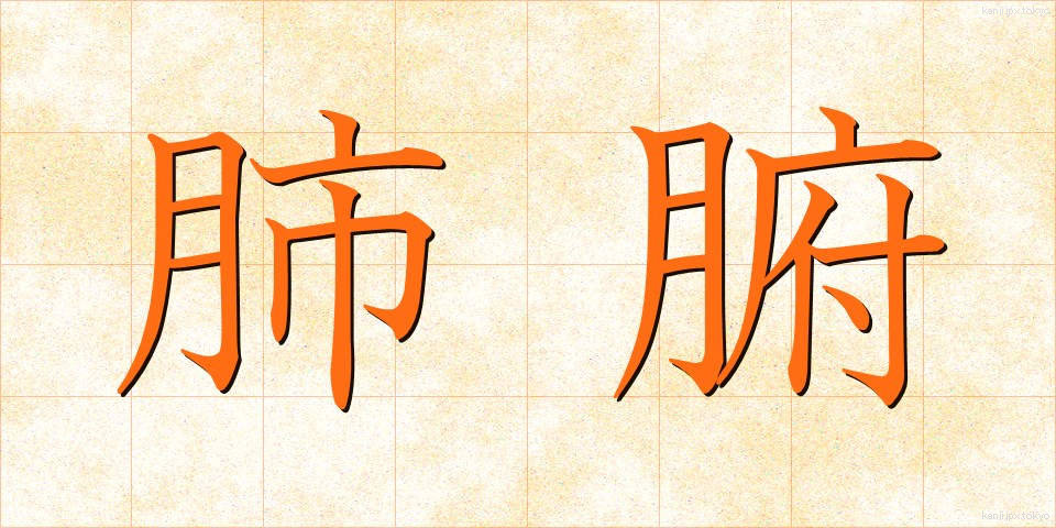肺腑 (はいふ)