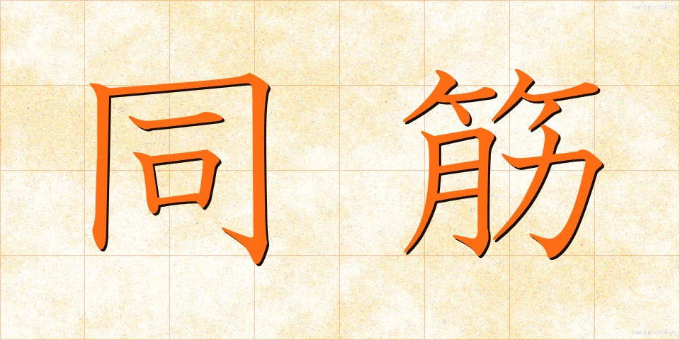 同筋 (どうすじ)