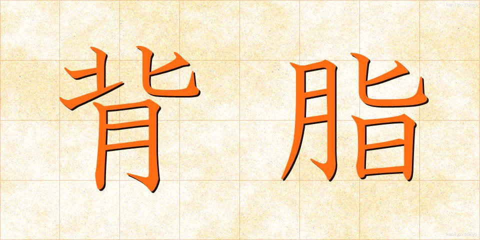 背脂 (せあぶら)