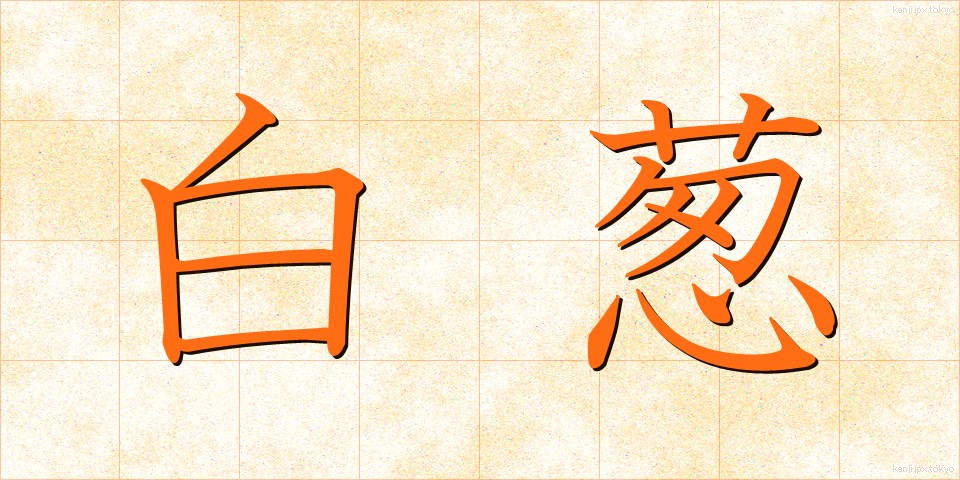 白葱 (しらねぎ)