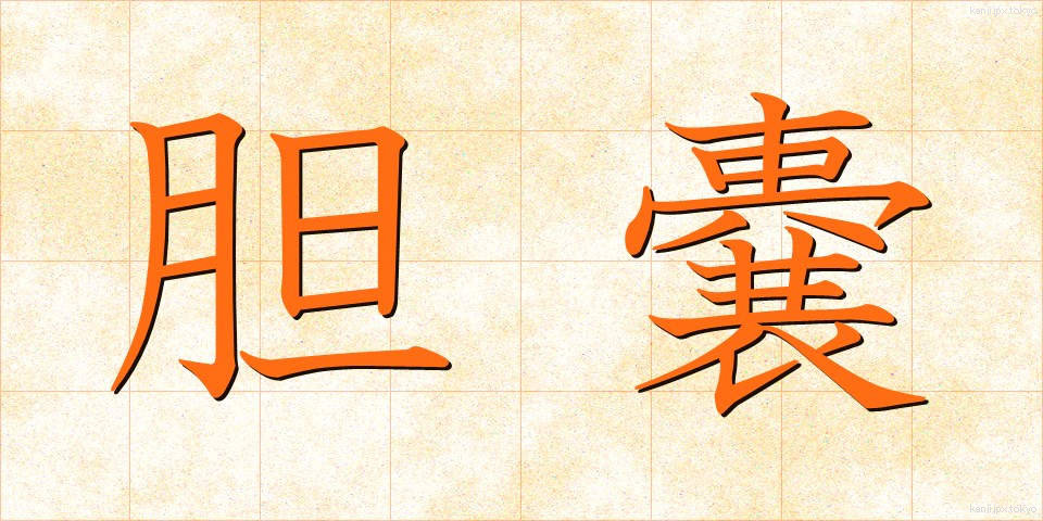 胆嚢 (たんのう)