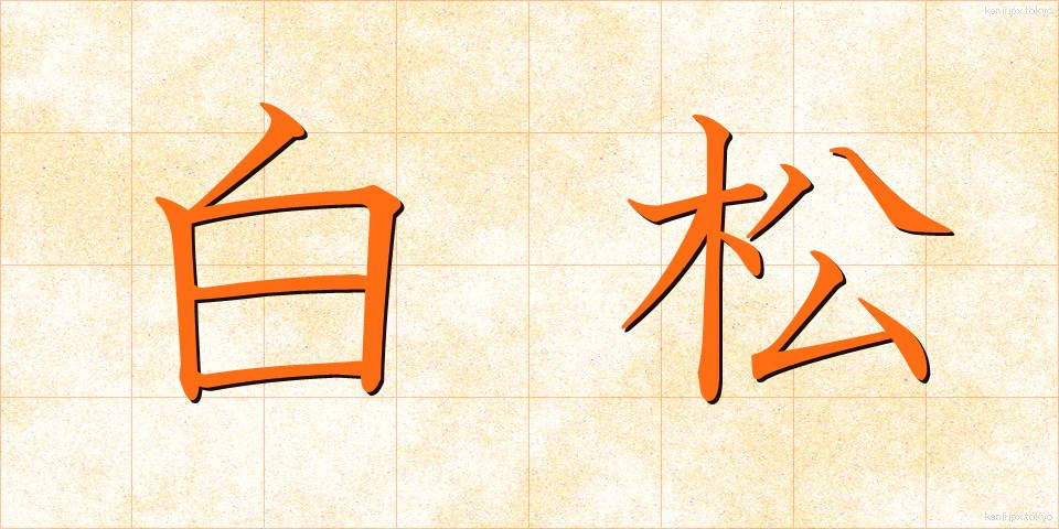 白松 (しらまつ)