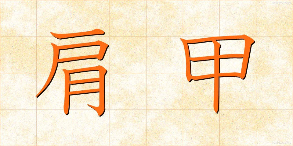 肩甲 (けんこう)