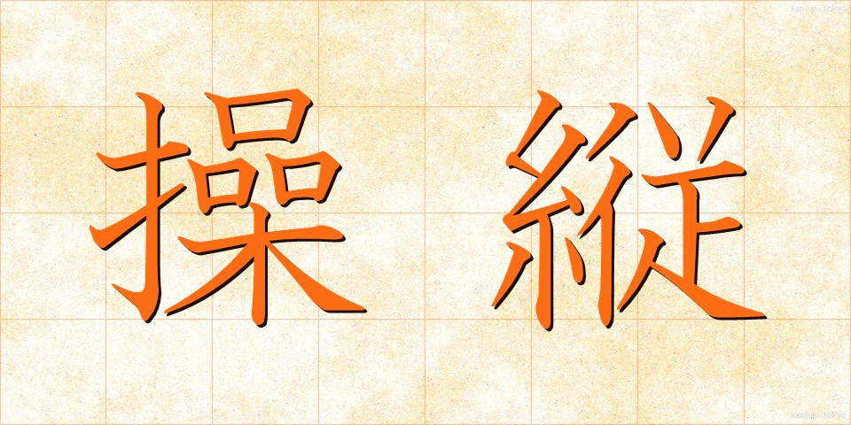 操縦 (そうじゅう)