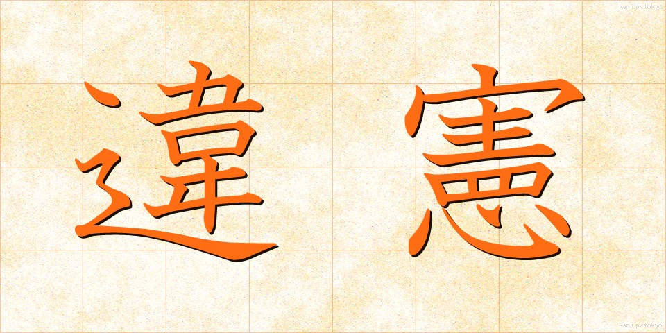 違憲 (いけん)