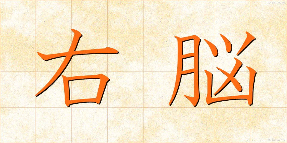 右脳 (うのう)