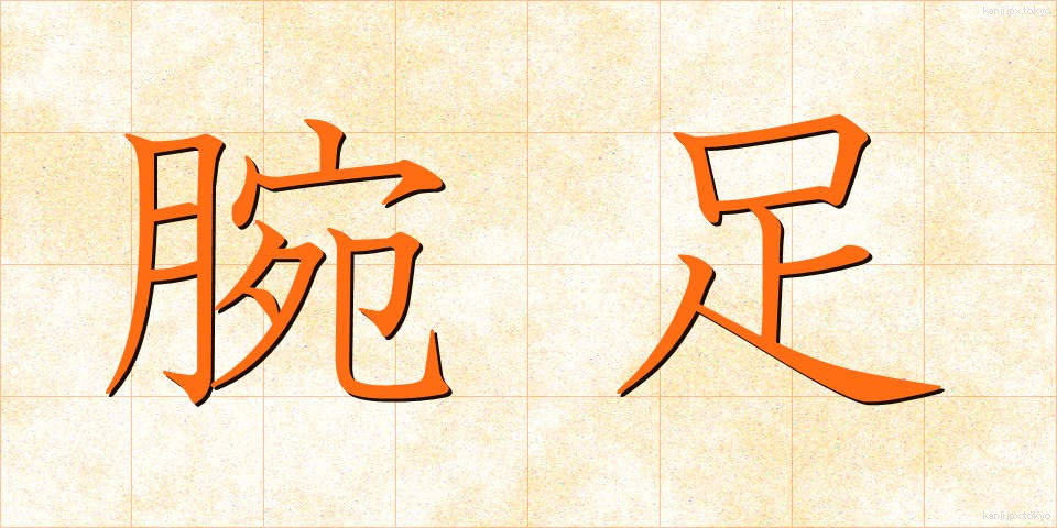 腕足 (うであし)