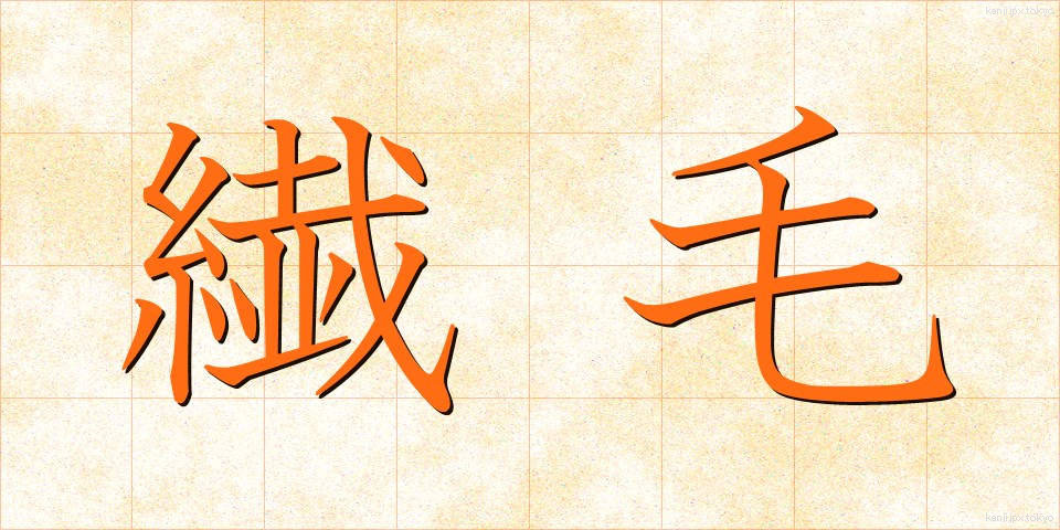 繊毛 (せんもう)