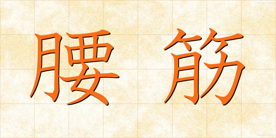 腰筋 (ようきん)