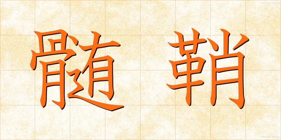 髄鞘 (ずいしょう)