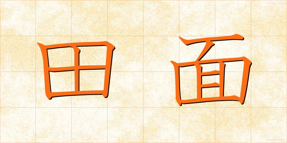 田面 (たも)