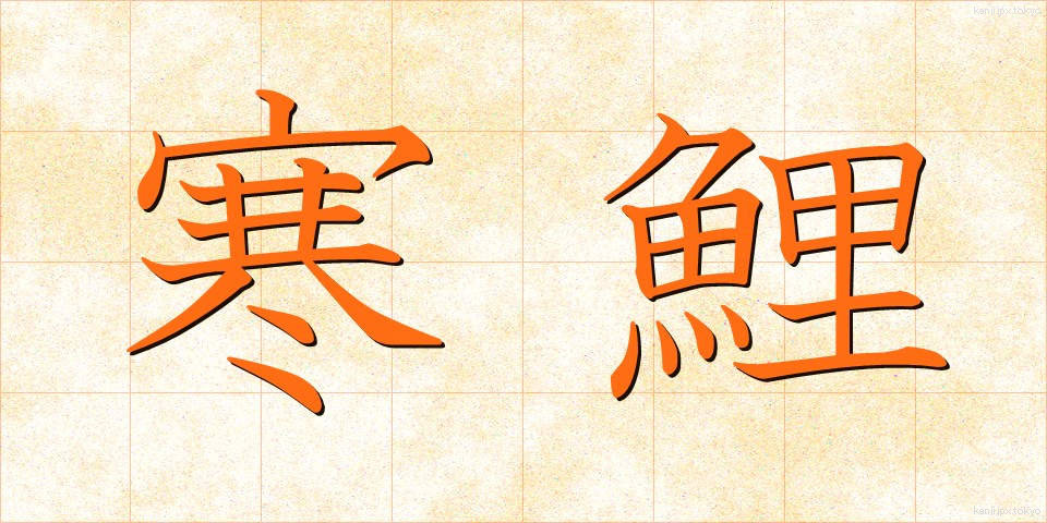 寒鯉 (かんごい)