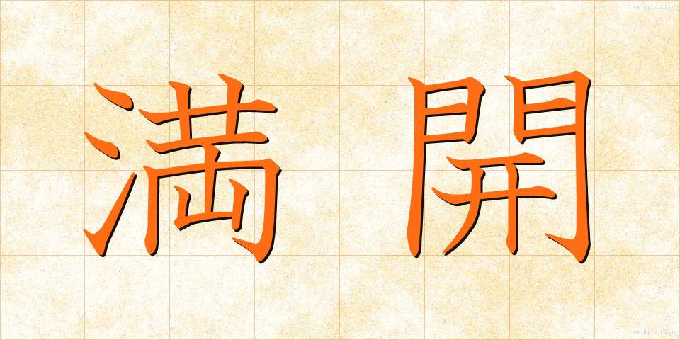 満開 (まんかい)