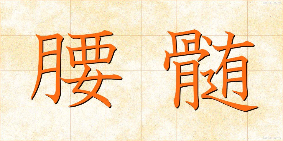 腰髄 (ようずい)