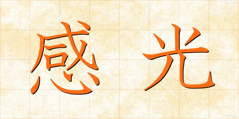感光 (かんこう)