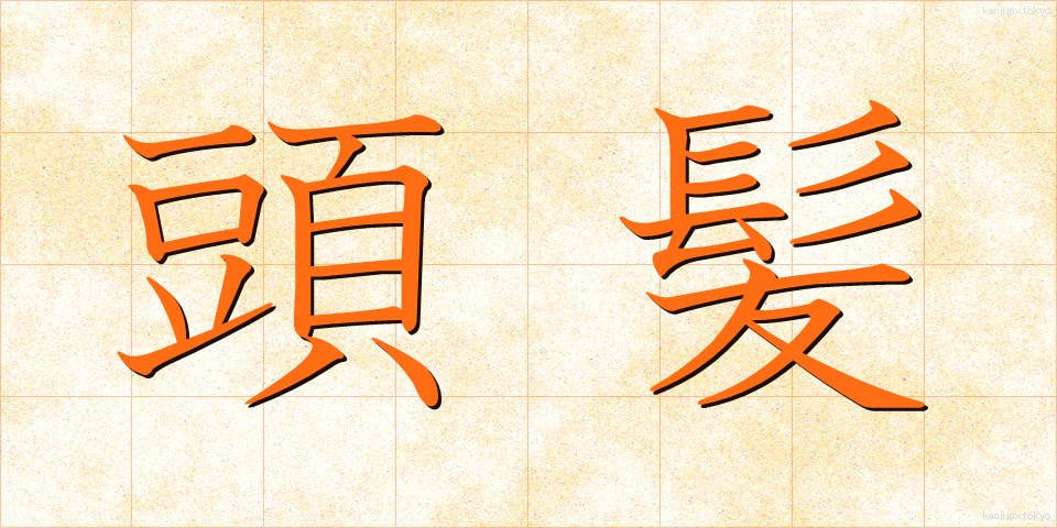 頭髪 (とうはつ)