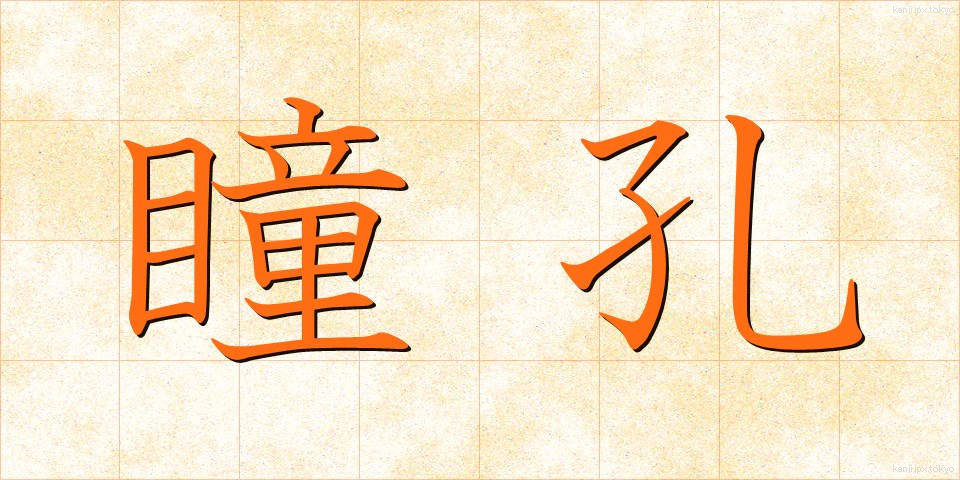 瞳孔 (どうこう)