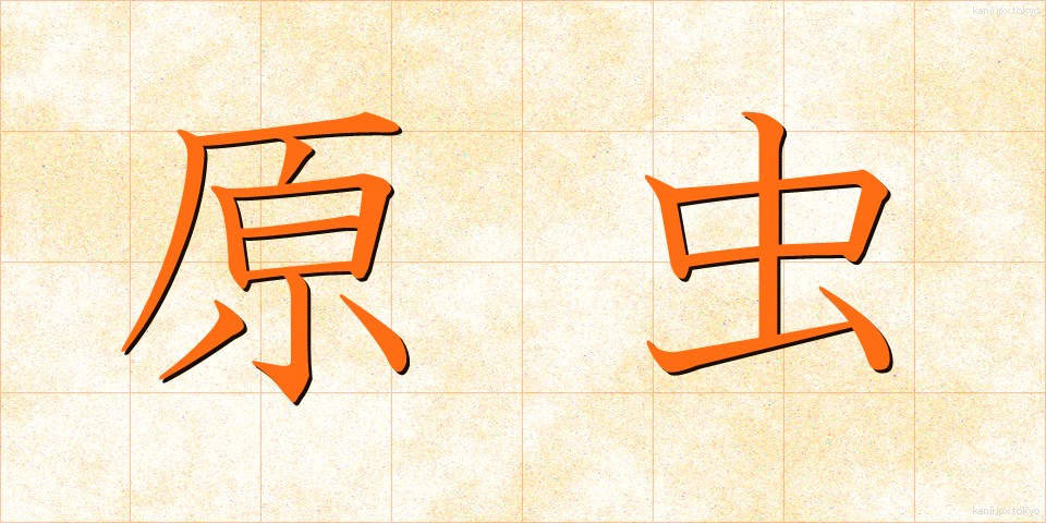 原虫 (げんちゅう)