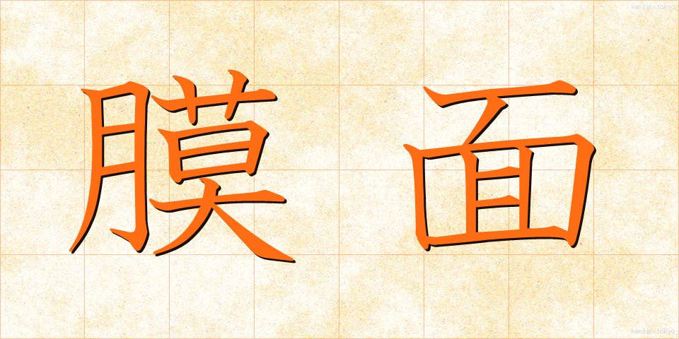 膜面 (まくめん)