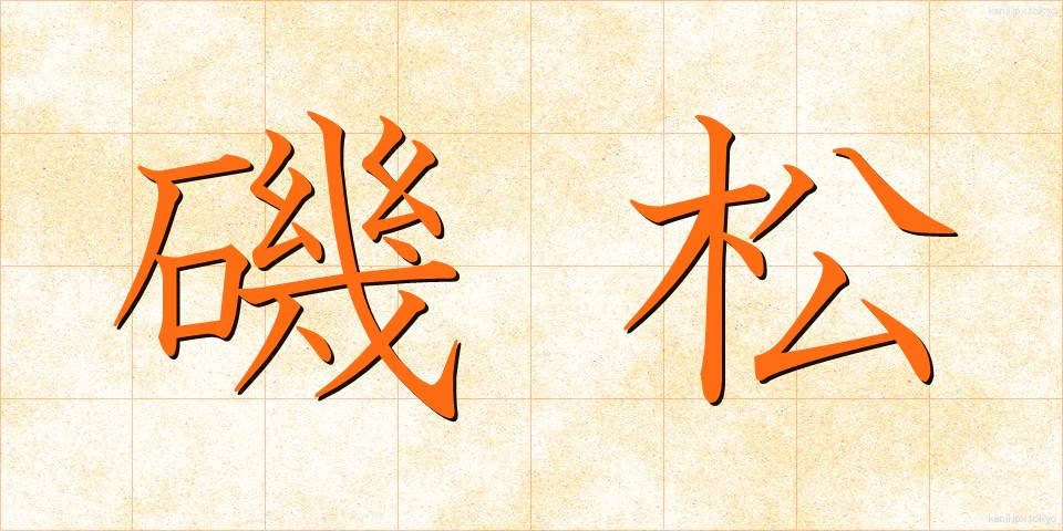 磯松 (いそまつ)