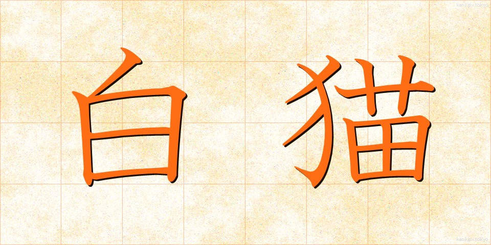 白猫 (しろねこ)