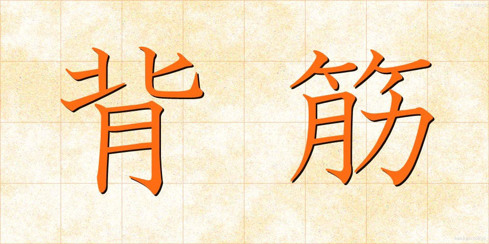 背筋 (せすじ)